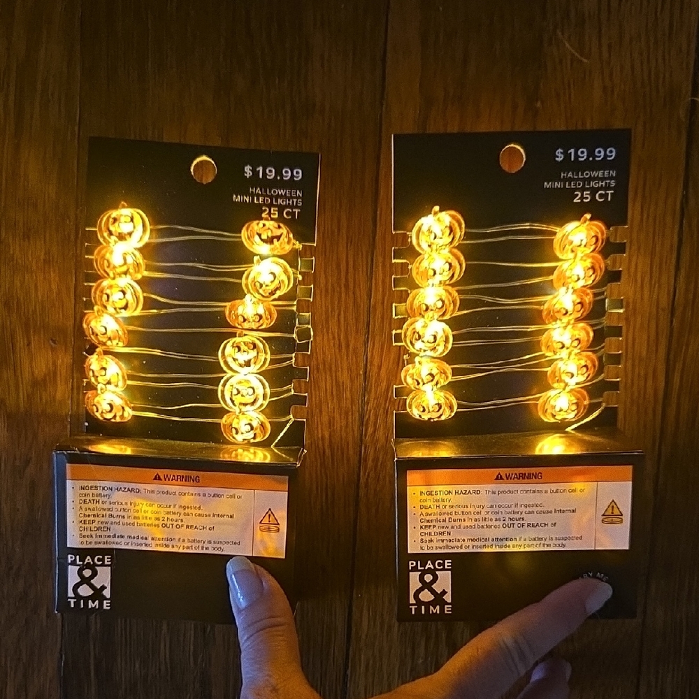 Mini Pumpkin LED String Lights Set Of 2